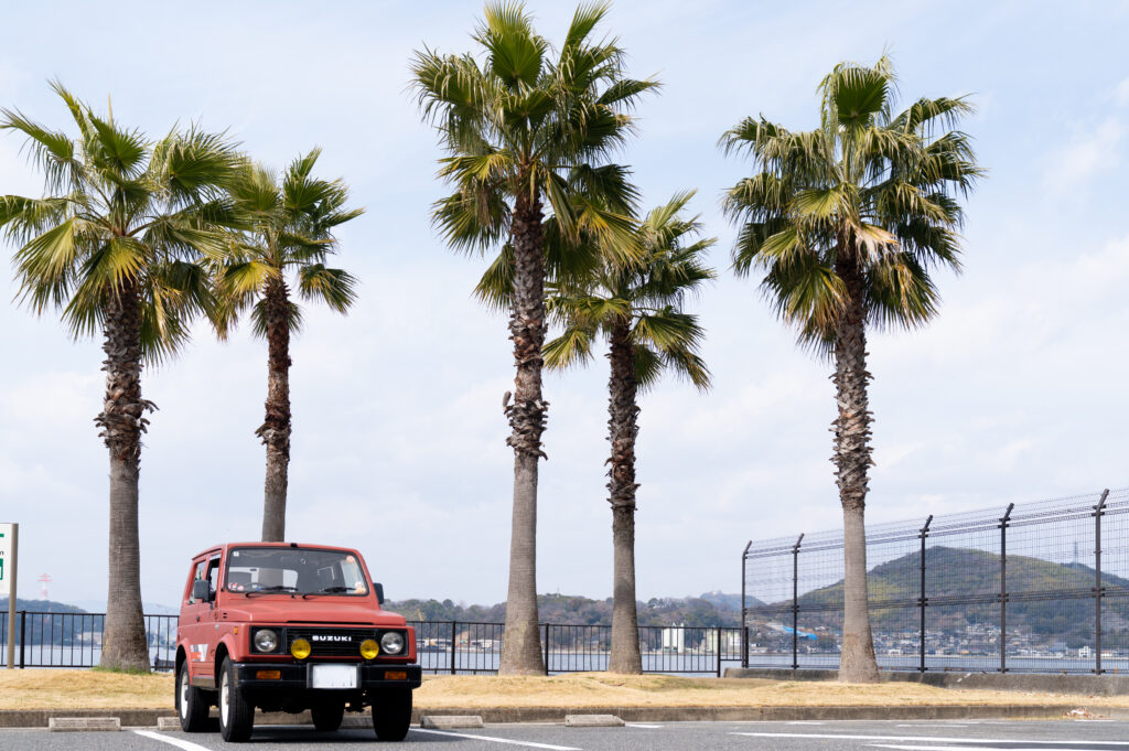 ヤシの木背景の車