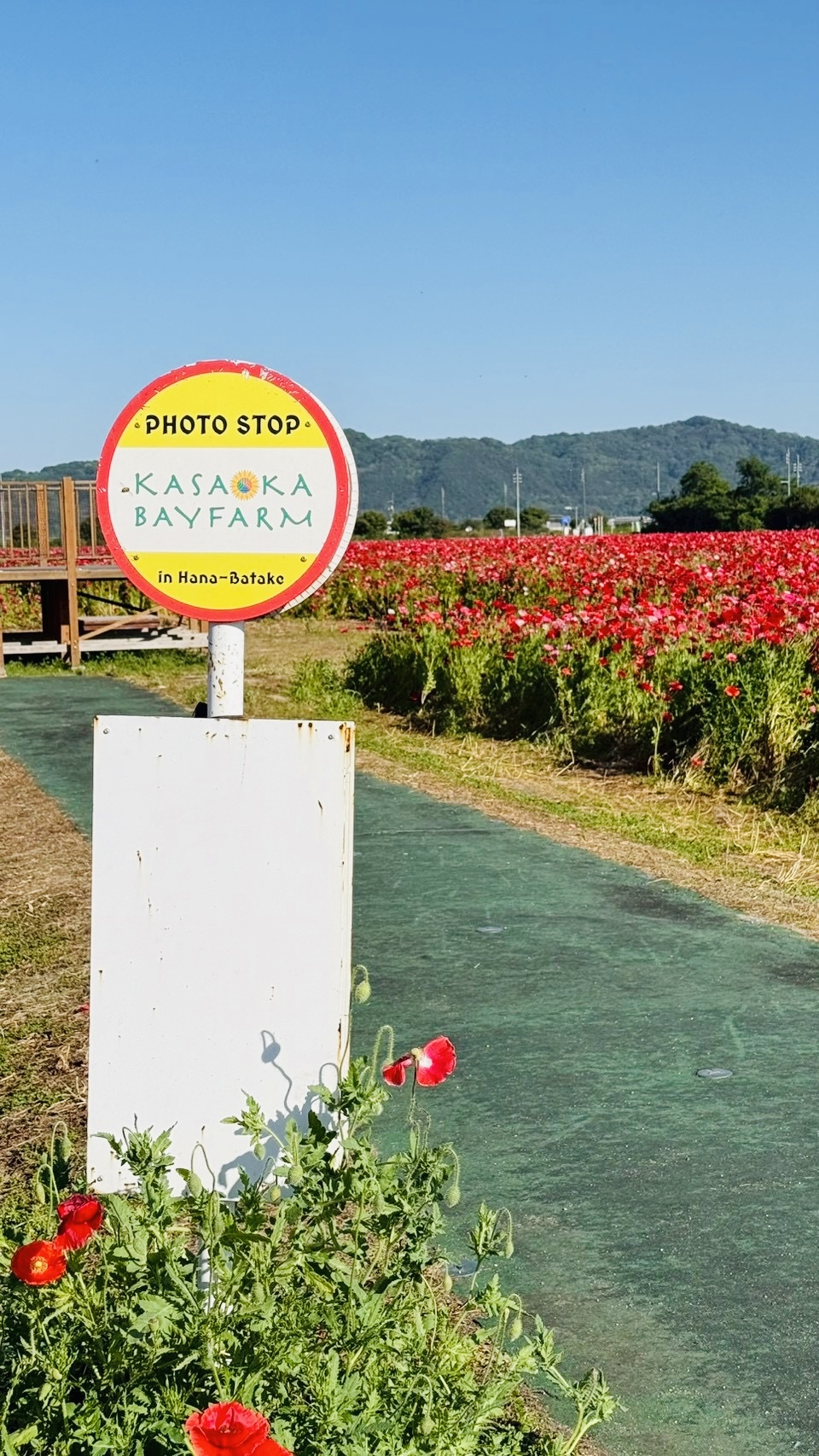 笠岡ベイファーム