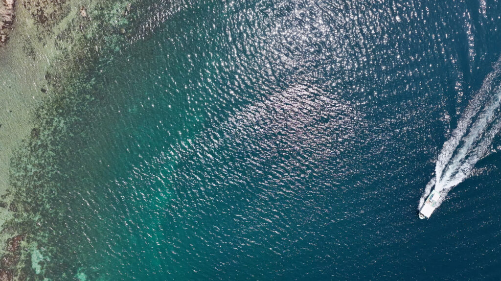 海の青い画像